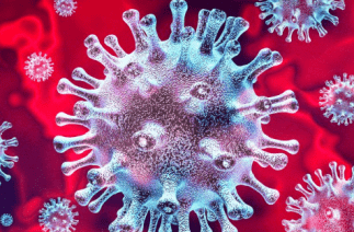 Coronavirus